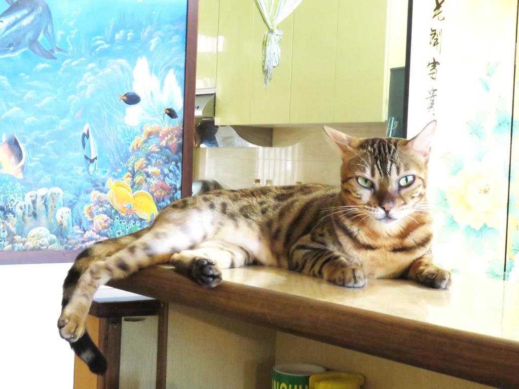 Tou Cheng Whale Watching Homestay Toucheng Dış mekan fotoğraf